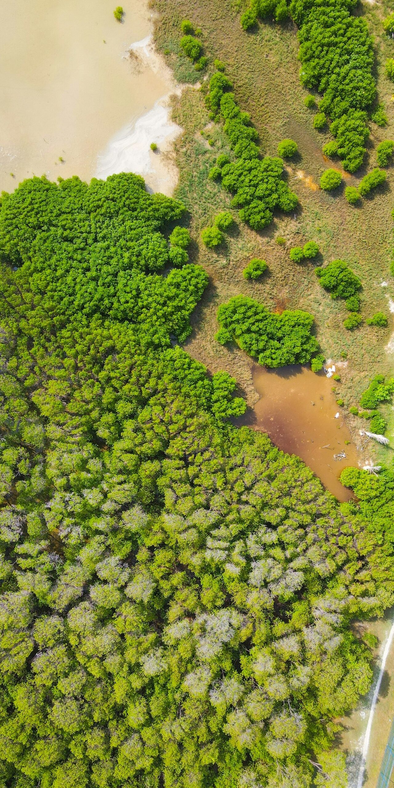 A importância da Consultoria Ambiental para novos empreendimentos que precisam passar pelo Licenciamento Ambiental em Maceió – 2026
