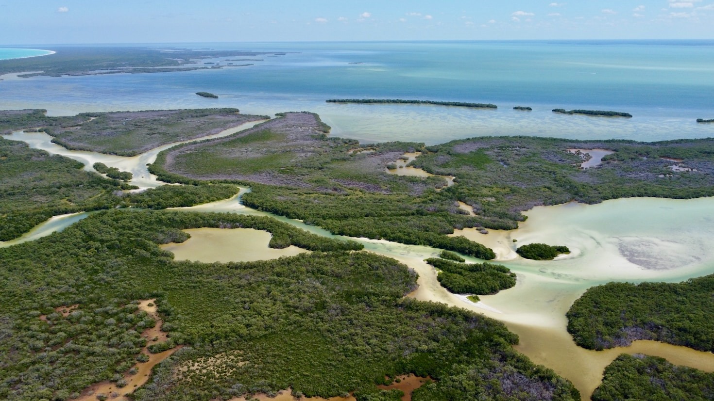 O papel da sustentabilidade nos negócios modernos: uma perspectiva para Alagoas